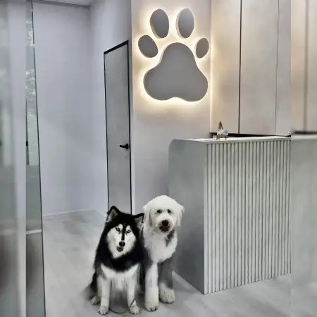 Pet grooming the Fear-Free way, for dogs, cats, rabbits, guinea pigs, and more, in Singapore