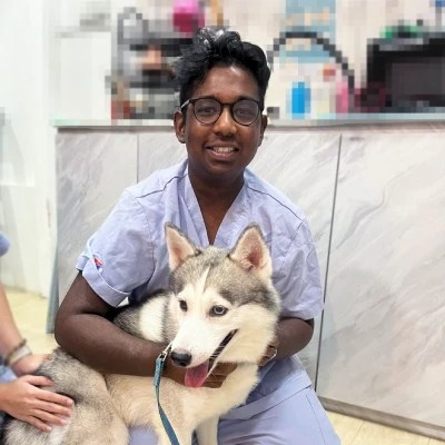 Paws N' Claws vet nurse with a pet pomsky dog
