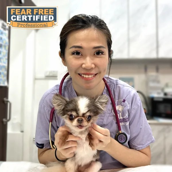 Dr Esther Lam, head veterinarian at Paws N' Claws, is a Fear-Free certified professional.