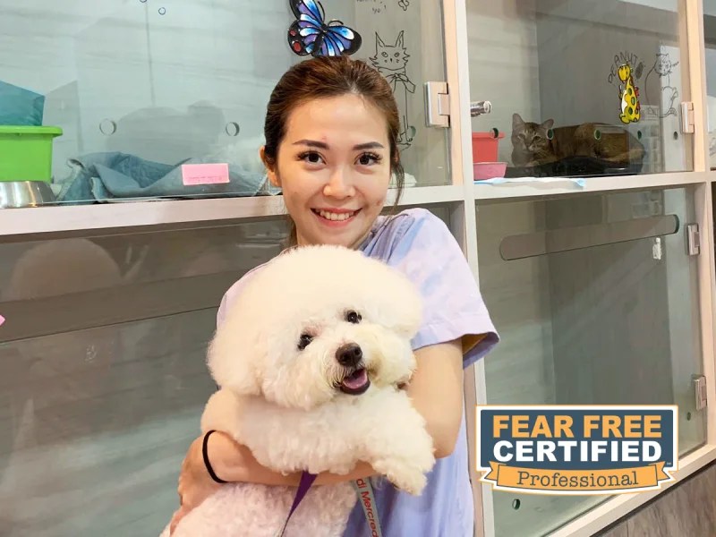Dr Esther Lam, head veterinarian at Paws N' Claws, is a Fear-Free certified professional.